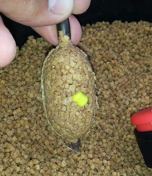 feeder5