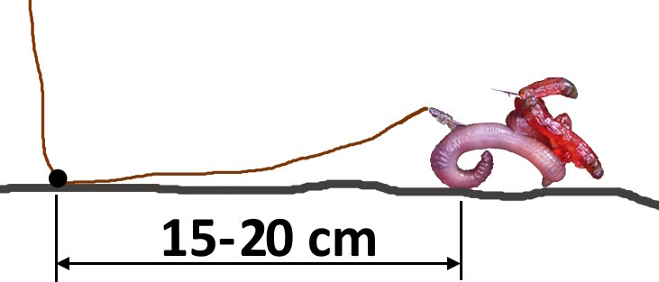 odlelosciowka 4