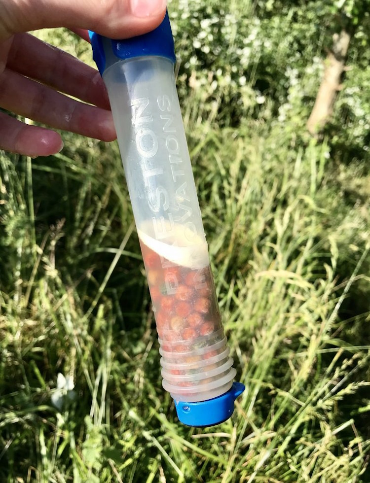 pellet2