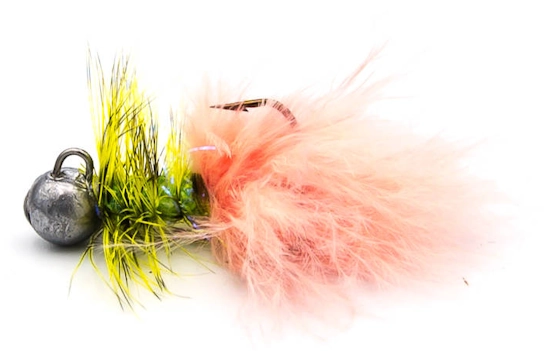 17 kogut okoniowy salmon