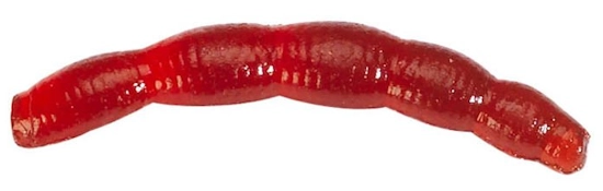 36 sztuczna ochotka berkley powerbait