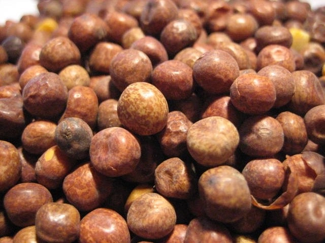 owoce klonu2