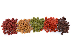 pellet