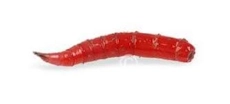 fifis