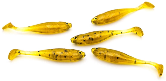 22 fishchaser minimaster