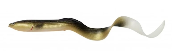 21 sg lb real eel