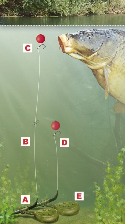 zig rig7