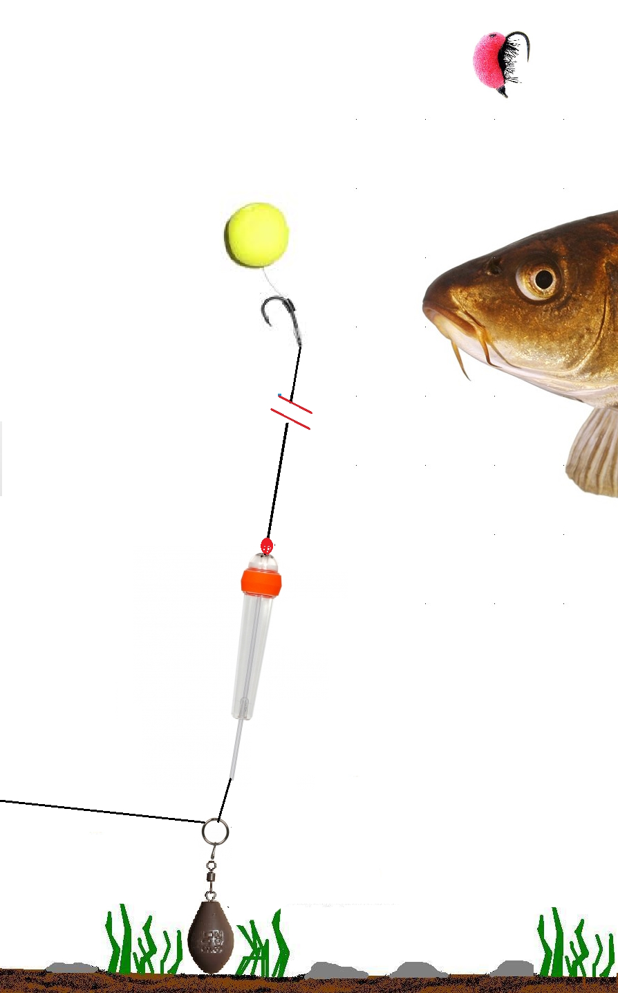 zig rig8