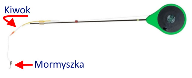 wedka6