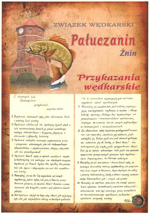przykazania zwpmm